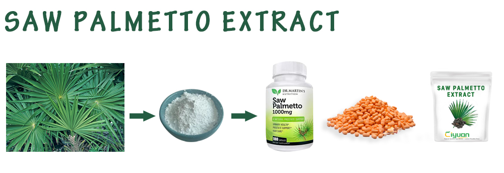 Saw Palmetto Extract.jpg